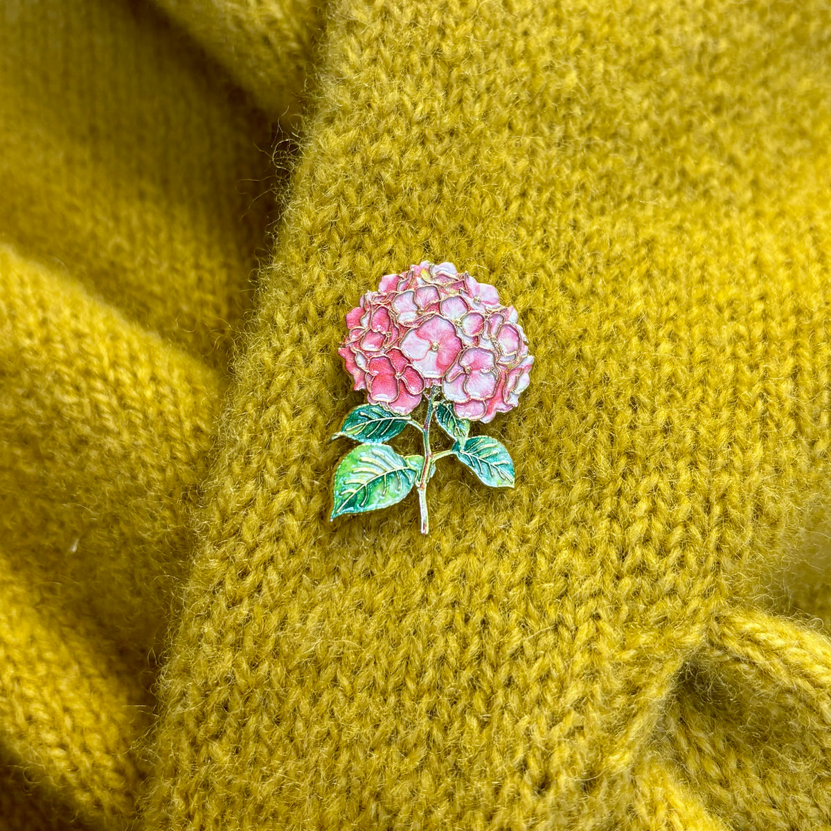 Rosa hortensia - pin
